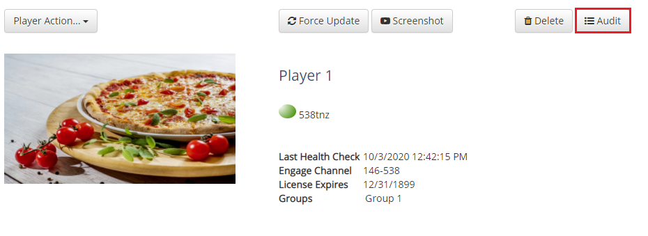 Understanding the Player Audit 1.png